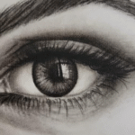 How to Start Charcoal Drawing: Tools, Techniques & First Exercises